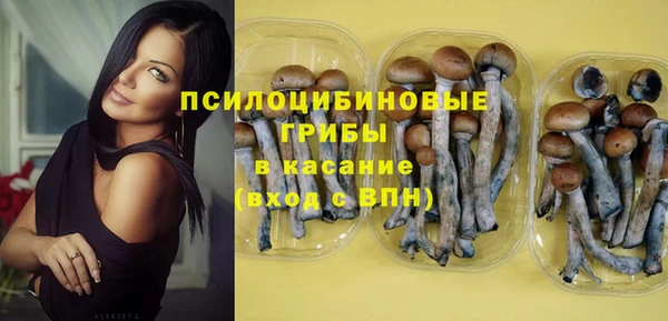 шишки Балахна