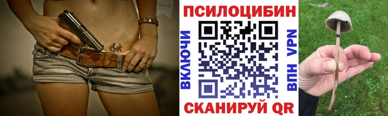 Псилоцибиновые грибы мицелий  Фролово 